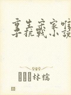 重生宋家唯一嫡子抗战小说