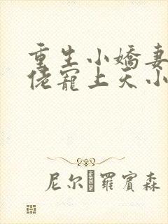 重生小娇妻:大佬宠上天小说