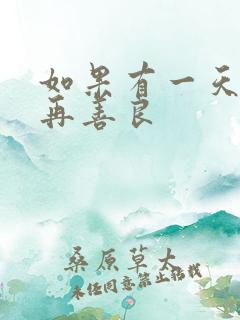 如果有一天我不再善良