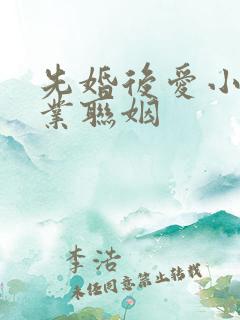 先婚后爱小说商业联姻