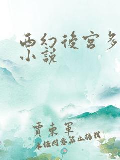 西幻后宫多女主小说