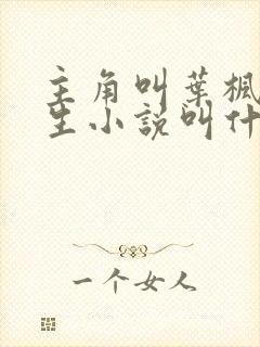 主角叫叶枫的重生小说叫什么