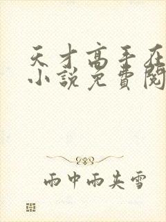 天才高手在都市小说免费阅读全文