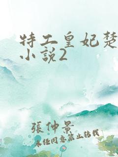 特工皇妃楚乔传小说2