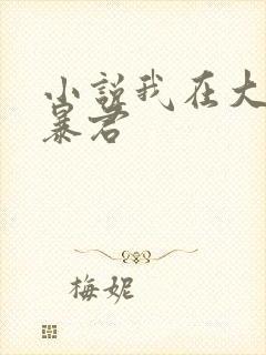 小说我在大明当暴君