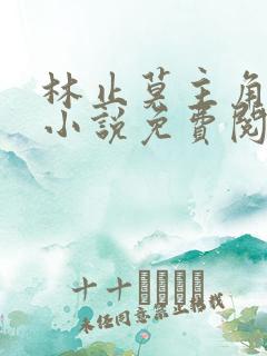 林止莫主角穿越小说免费阅读