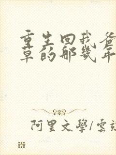 重生回我爸当校草的那几年