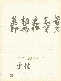 万相之王最新章节无弹窗免费阅读