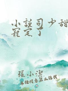 小说司少甜妻,宠定了