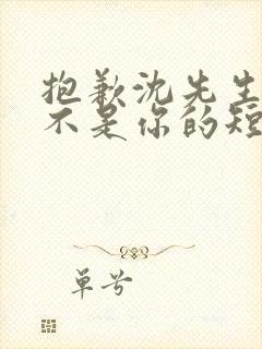 抱歉沈先生孩子不是你的短剧在线免费观看