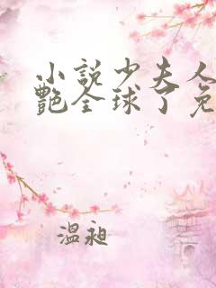 小说少夫人她惊艳全球了免费下载