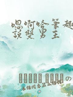 嗯啊哈笔趣阁小说双男主