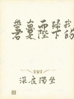 带崽而归我的夫君是陛下的小说