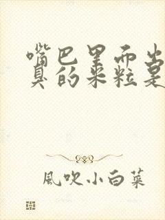 嘴巴里面出来臭臭的米粒是什么东西