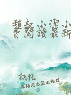 赵叔小洁小说免费阅读最新章节更新