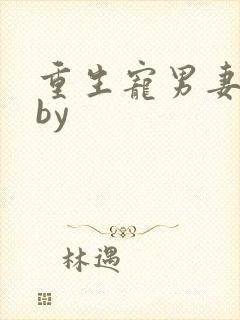 重生宠男妻成瘾by