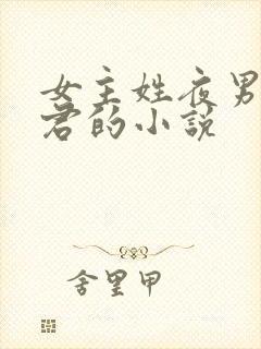 女主姓夜男主姓君的小说