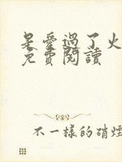 是爱过了火全文免费阅读