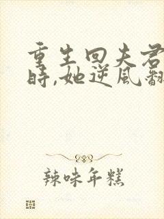 重生回夫君大婚时,她逆风翻盘第二部