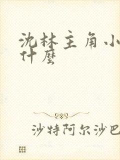 沈林主角小说叫什么