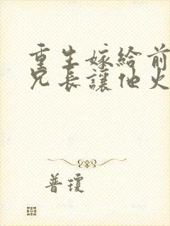 重生嫁给前夫他兄长让他火葬场