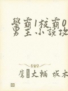 学霸1校霸0双男主小说攻文