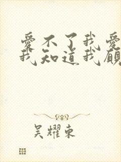 爱不了我爱的人我知道我愿意再等