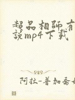 超品相师有声小说mp4下载