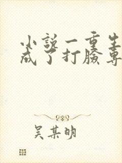 小说一重生后我成了打脸专业户