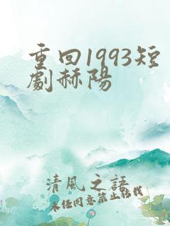 重回1993短剧赫阳