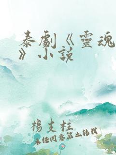 泰剧《灵魂重生》小说