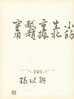 穿越重生小说主角赵振北的小说