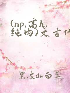 (np,高h,纯肉)文古代