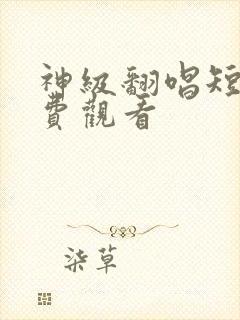 神级翻唱短剧免费观看