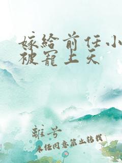 嫁给前任小叔后被宠上天