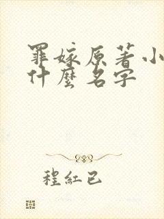 罪嫁原著小说叫什么名字