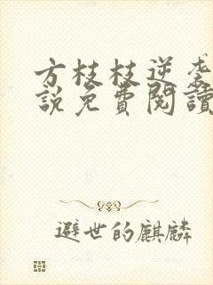 方枝枝逆袭记小说免费阅读无弹窗