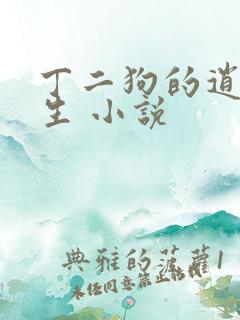 丁二狗的逍遥人生 小说