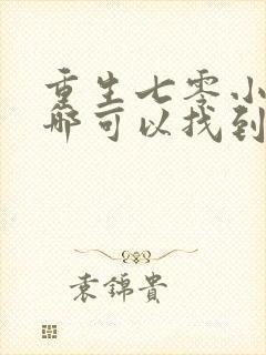 重生七零小辣媳哪可以找到