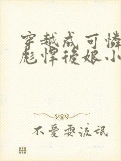 穿越成可怜娃的彪悍后娘小说