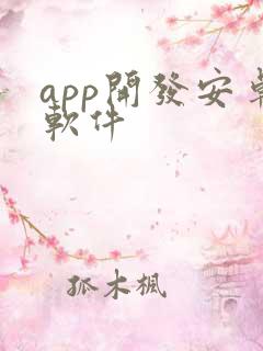 app开发安卓软件