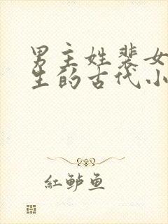 男主姓裴女主重生的古代小说