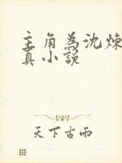 主角为沈炼的修真小说