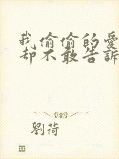 我偷偷的爱着你却不敢告诉你歌词