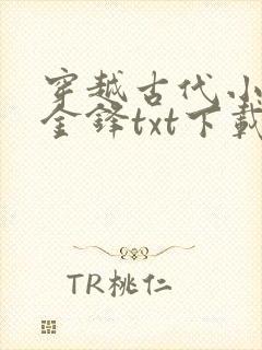 穿越古代小铁匠金锋txt下载