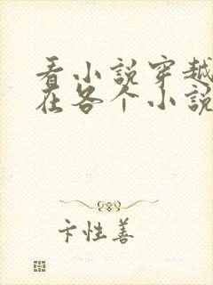 看小说穿越之我在各个小说当女主