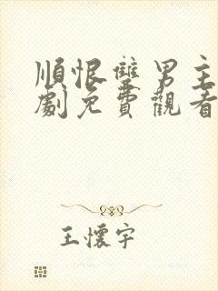 顺恨双男主电视剧免费观看全集