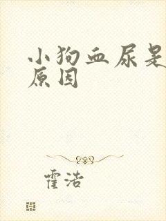 小狗血尿是什么原因