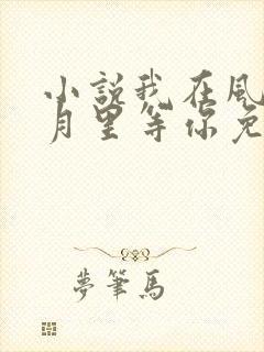 小说我在风花雪月里等你免费阅读