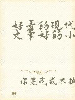 好看的现代言情文笔好的小说